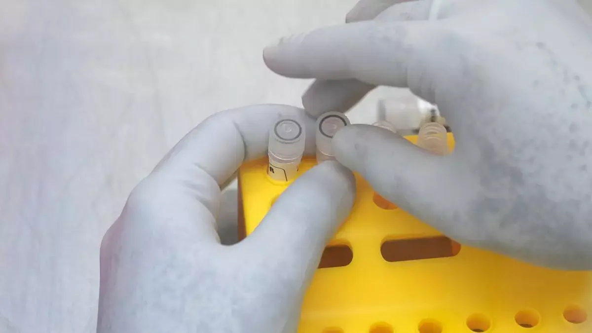 Indian diagnostics industry to reach $25 bn in FY28